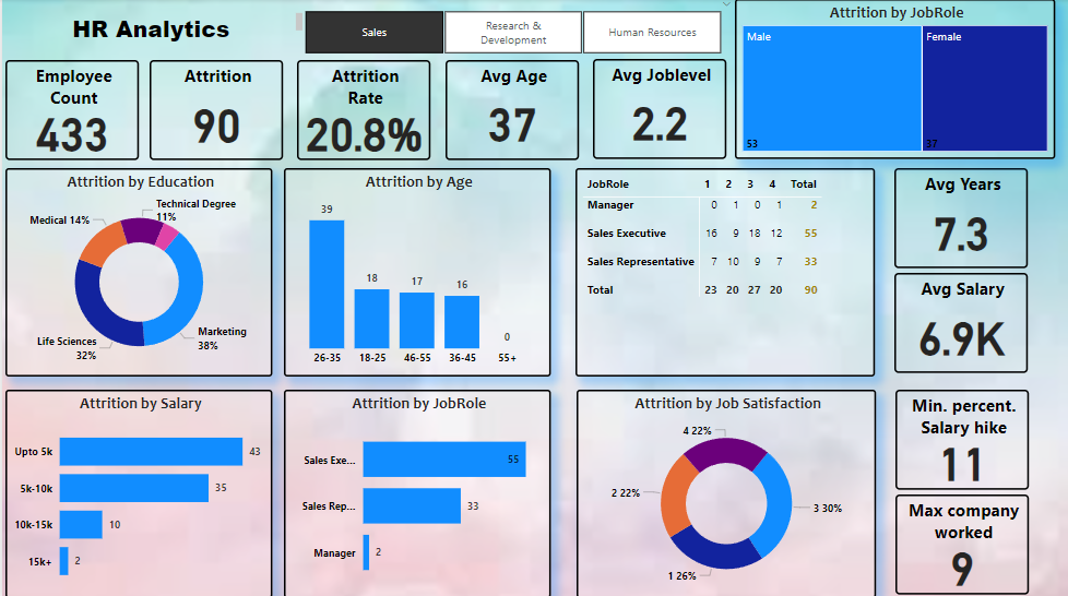 PowerBi Project